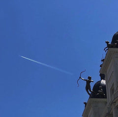 HOGHHEIM Hediye Kartı