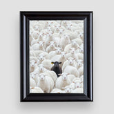 BLACK SHEEP PREMIUM TABLO